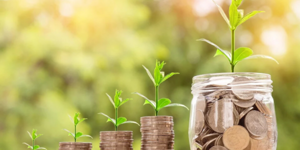 ¿Dónde invertir mi dinero 2022?