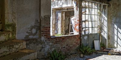 ¿Qué poner en ocupación si no hago nada?